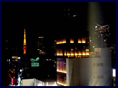View from Ginza Six